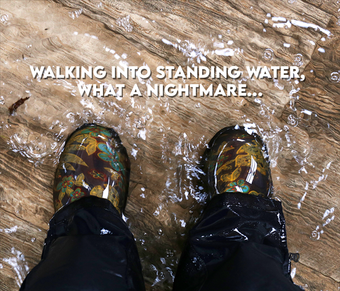 Pair of feet in standing water